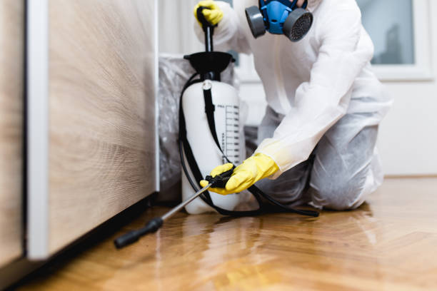 Best Affordable Pest Control Services  in Prospect Park, NJ