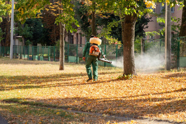 Best Best Pest Control Companies  in Prospect Park, NJ